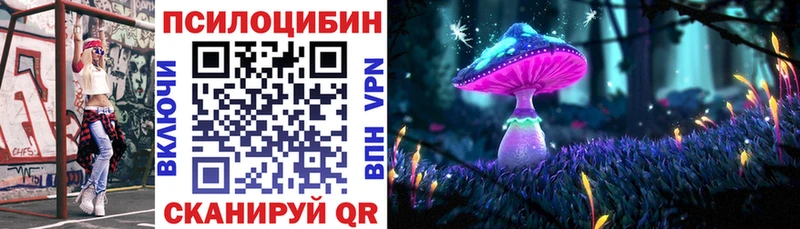 Купить где  Курчатов  Псилоцибиновые грибы Psilocybe 